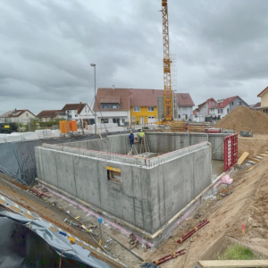 Wiesental Beginn 03